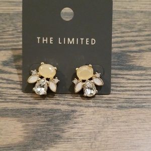 NWT Gorgeous earrings
